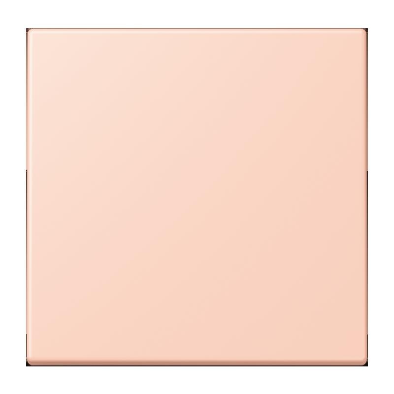 Jung Jung LC1700234 Steuertaste Standard LC32112