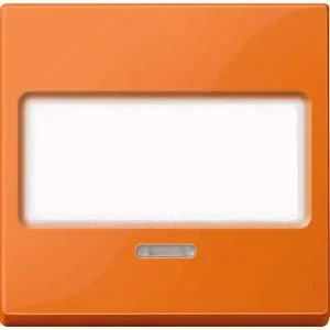 Merten Merten Wippe Fenster or mit Schriftfeld MEG3370-0302