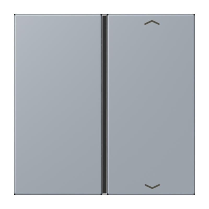 Jung Jung LC401TSAP257 Taste 1-fach Pfeil LC4320O