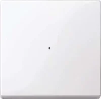 Merten Wippe aws/gl für Tastermodul 1 fach  619125