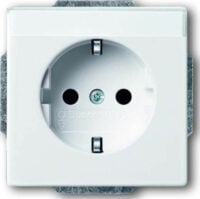 Busch-Jaeger Steckdosen-Einsatz dav/sws mit Besch feld2P+E16A 20 EUN-84