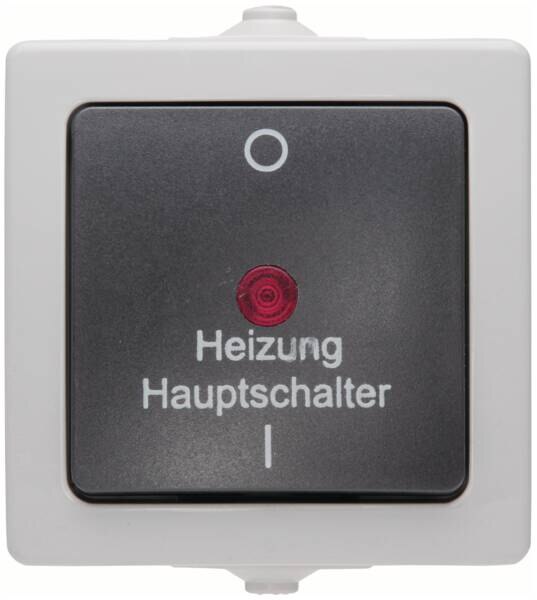 Kopp Kopp 565356002 Heizungshauptschalter AP-FR 2-polig beleuchtet10AX 250V IP44 Nautic grau