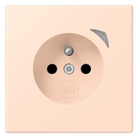 Jung BT LC 1521 F S 228 JUNG HOME Steckdose französisch/belgisches System