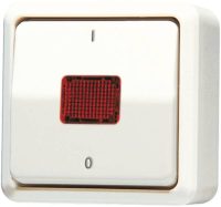 Jung 602KOA AP-Wipp-Kontrollschalter Aus 2polig 10AX 250VAC AP600 weiß
