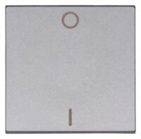 Kopp 491947008 HK07-Flächenwippe 2-polig Farbe:stahlfarben