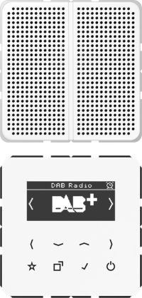 Jung Smart DAB+ Digitalradio Display,SetMono,1LS DAB CD1 WW
