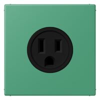 Jung LC521-15250 Steckdose US-Norm NEMA LC4320G