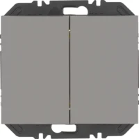 Berker Friends of Hue Tasten 2-fach, K.5,edelst l 24127034