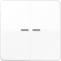Jung KNX RF Taster 2-fach Duroplast, Serie CD CD 10921 ST RF WW