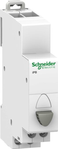 Schneider A9E18033 Drucktaster iPB 1S1Ö grau