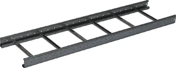 Legrand Van Geel 8311123 Kabelleiter 3000x300x60 SP200 LS sendzimirverzinkt