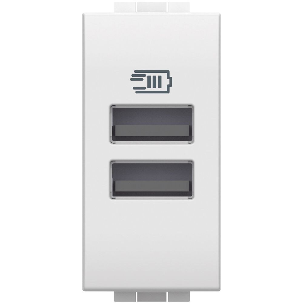 Legrand BTicino N4191AA LivingLight USB-Lade- steckdose 1M m.2xUSB-A Weiß