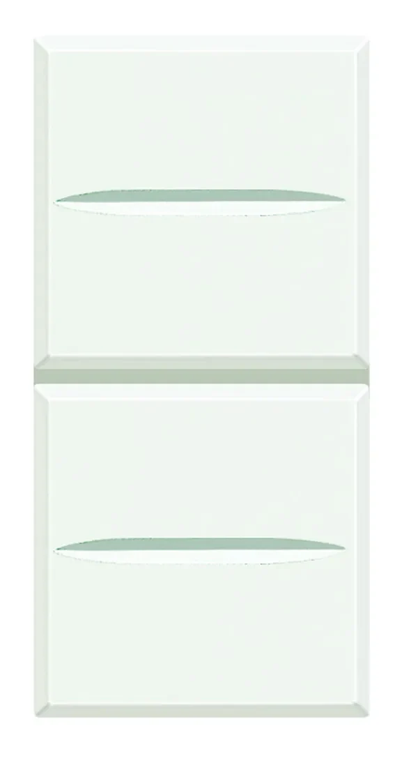 Legrand BTicino HD4036 Doppeltaster 1-polig (NO) 10A 1M Weiß