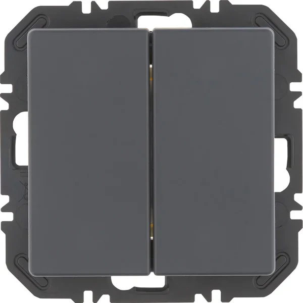 Berker Modul mit Wippe 2-fach Q.x anthazit 24126186