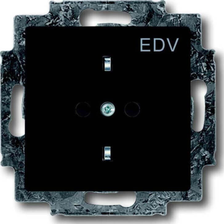 Busch-Jaeger Busch-Jaeger Schuko-Steckdose anthrazit mit Aufdruck EDV 20 EUCKS/DV-81