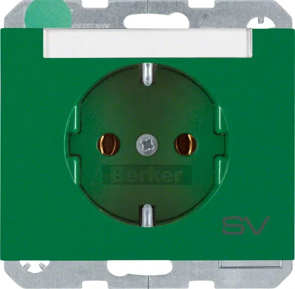 Berker Berker SCHUKO-Steckdose gn mit Beschriftungsfeld 47397113