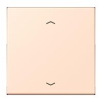 Jung LC1700P228 Steuertaste Standard -Pfeile LC32091