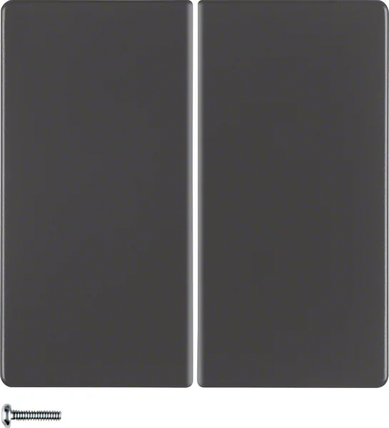 Berker Berker KNX-Funk Taste 2-fach anthrazit samt 85146126