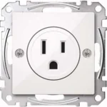 Merten Steckdosen-Einsatz pws/gl USA 15A MEG2151-0319