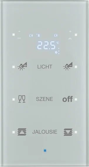 Berker Berker Glas-Sensor mit Raumtemperatur. 75643134