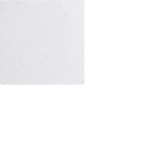 Eltako Eltako W-WT55E-pm Wippe im E-Design55 ungraviert polarweiß matt 30055932