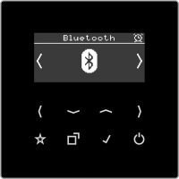Jung Smart DAB+ Digitalradio Bluetooth UKW,DAB+ DAB LS BT SW