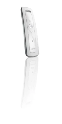 Bild vom Produkt: Somfy Situo 1 RTS Pure II 1870402
