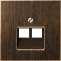 Jung Abdeckung Mess/antik f.IAE/UAE-/Datendose ME 2969-2 UA AT