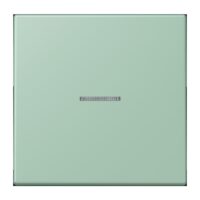 Jung LC101KO5217 Wippe mit Lichtleiter für KNX Taster 1fa