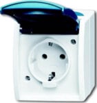 Busch-Jaeger Schuko-Steckdose mit Namensschild 20 EWN-53