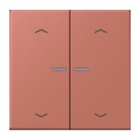 Jung LC102KO5P236 Wippe mit Lichtleiter und Pfeilsymbolen