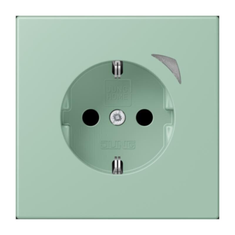 Jung Jung BTLC1521S217 JUNG HOME SCHUKO Steckdose LC32041