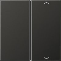 Jung Taste 1-fach anth Symbol Auf/Ab AL 2401 TSAP AN
