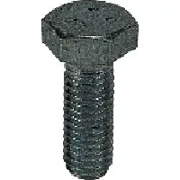 Legrand Van Geel 8069938 Flachrundschraube M10x30 tauchfeuerverzinkt