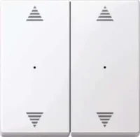 Merten Wippe aws/gl für Tastermodul 2 fach  619725