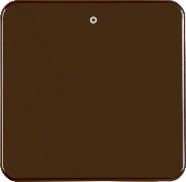 Berker Berker Wippe br/gl mit Aufdruck 0, IP44 155111