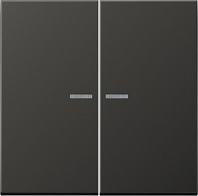 Jung Jung KNX RF Taster 2-fach Aluminium lackiert AL 10921 ST RF AN