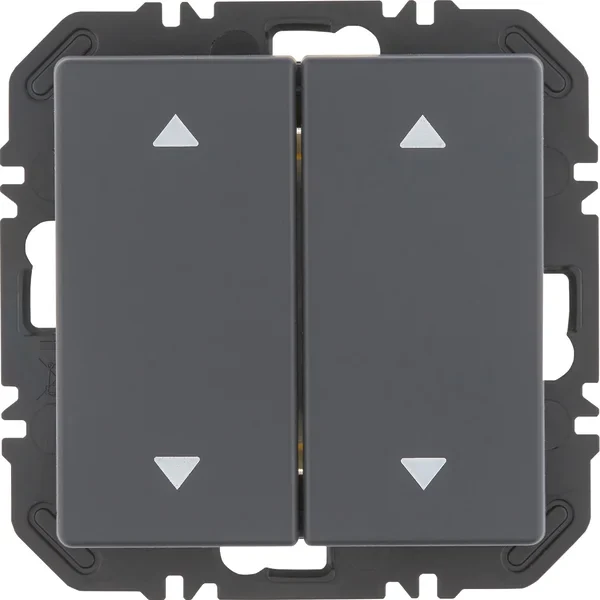 Berker Modul Wippe 2-fach Aufdr Q.x anthazit 24126286