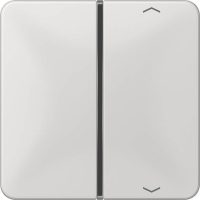 Jung Taste 1-fach lgr Symbol Auf/Ab CD 401 TSAP LG