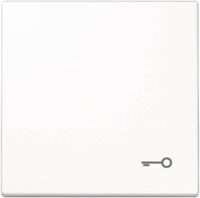 Jung LS990TLG Wippe Symbol Tür lichtgrau