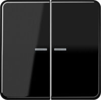 Jung KNX RF Taster 2-fach Duroplast, Serie CD CD 10921 ST RF SW