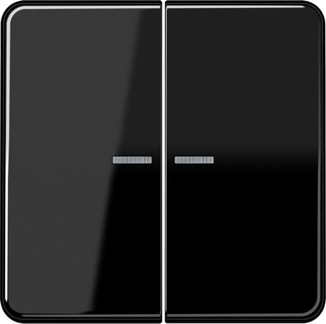 Jung Jung KNX RF Taster 2-fach Duroplast, Serie CD CD 10921 ST RF SW