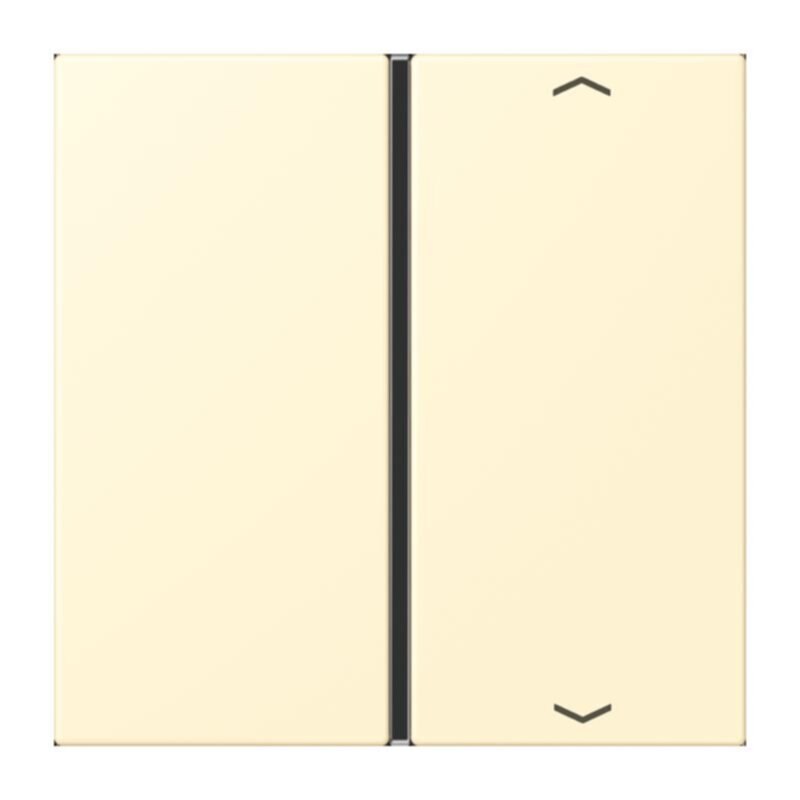 Jung Jung LC401TSAP201 Taste 1-fach Pfeil LC32001