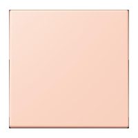 Jung ENOLC990234 ENO Funk Wandsender 2 kanalig LC32112