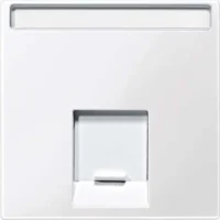 Merten Zentralplatte 1fach polarws gl MEG4573-0319