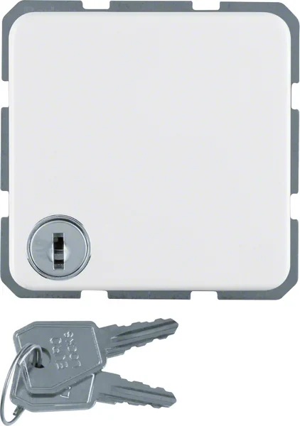 Berker Berker Schuko-Steckdosepws mit Klappdeckel 476309