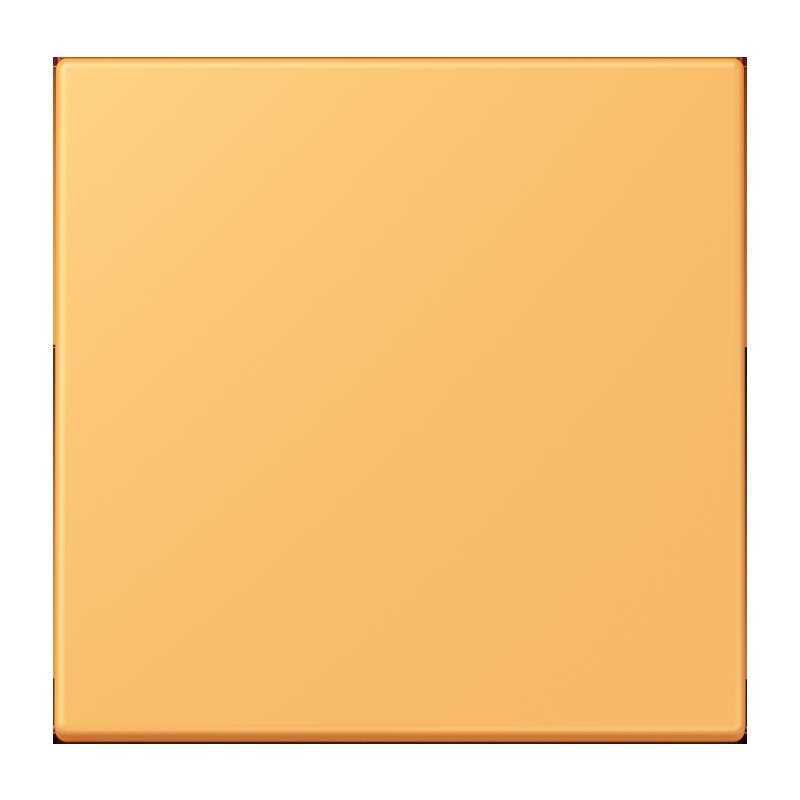 Jung Jung LC1700254 Steuertaste Standard LC4320L