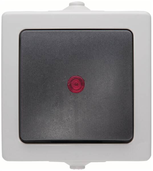 Kopp Kopp 566656002 Kontrollschalter AP-FR beleuchtet10AX 250V IP44 Nautic grau