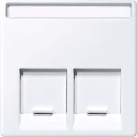 Merten Zentralplatte 2fach aktivws gl MEG4574-0325