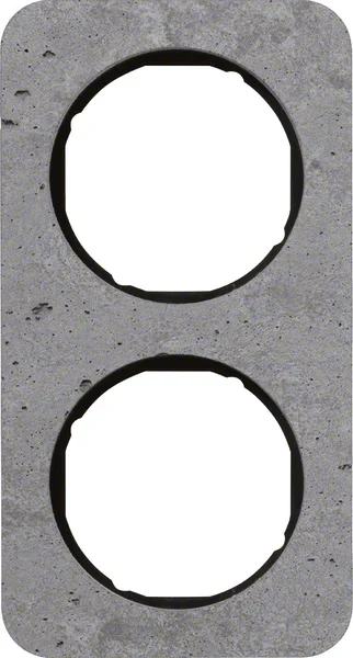 Berker Berker Rahmen 2-fach Beton-grau/schwarz glanz 10122374